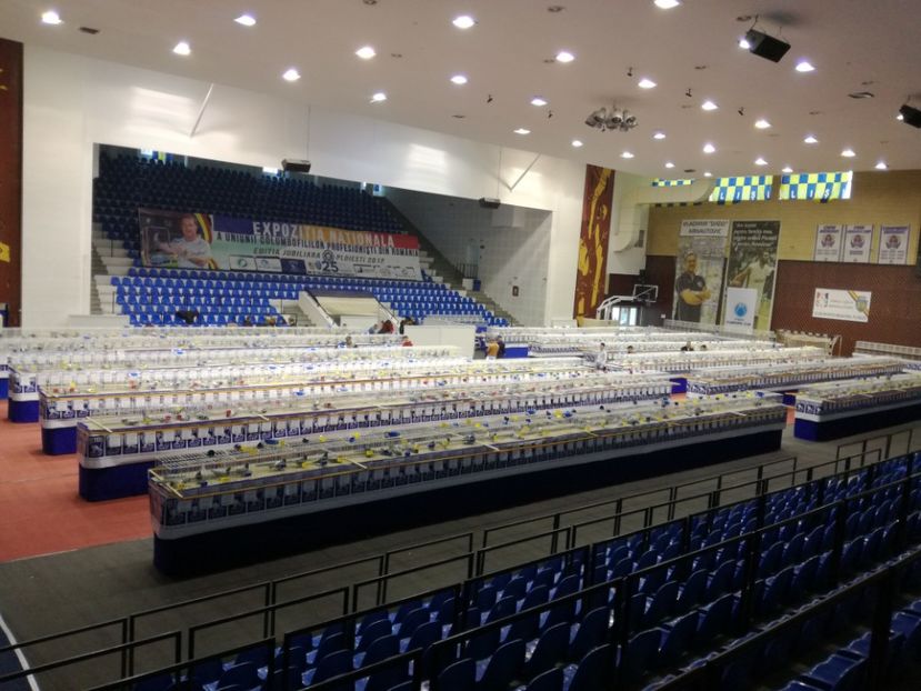  - 2018-EXPOZITIA NATIONALA UCPR-PLOIESTI