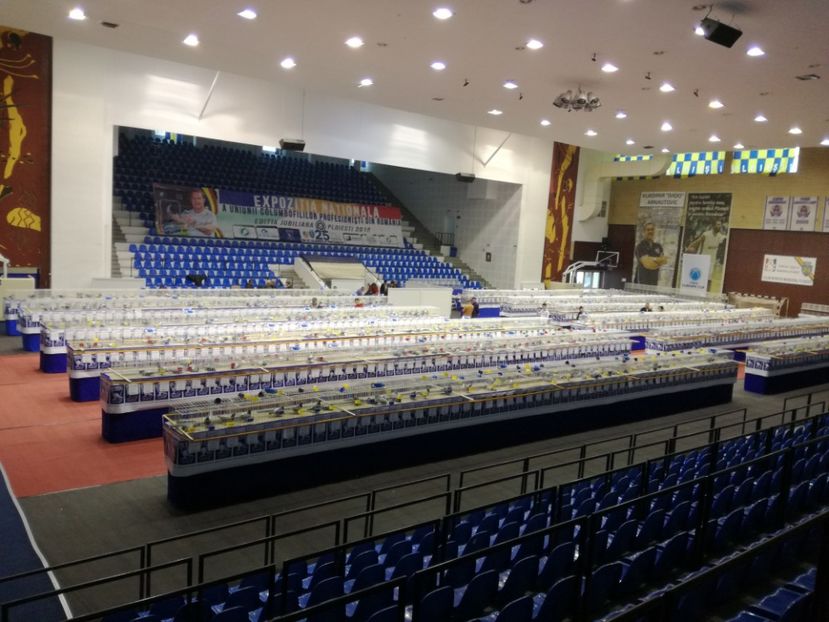  - 2018-EXPOZITIA NATIONALA UCPR-PLOIESTI