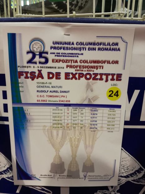  - 2018-EXPOZITIA NATIONALA UCPR-PLOIESTI