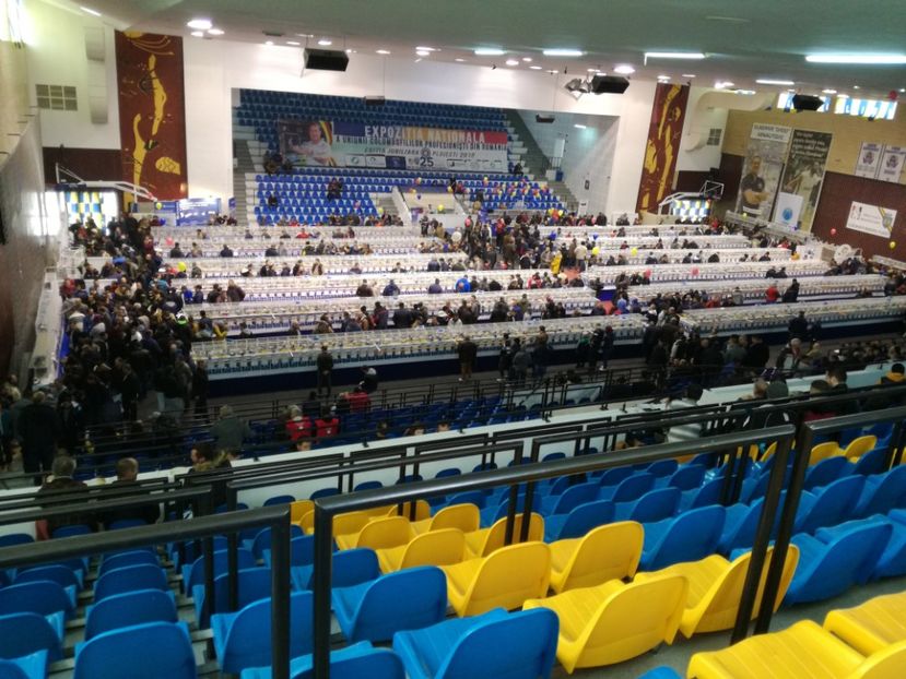  - 2018-EXPOZITIA NATIONALA UCPR-PLOIESTI