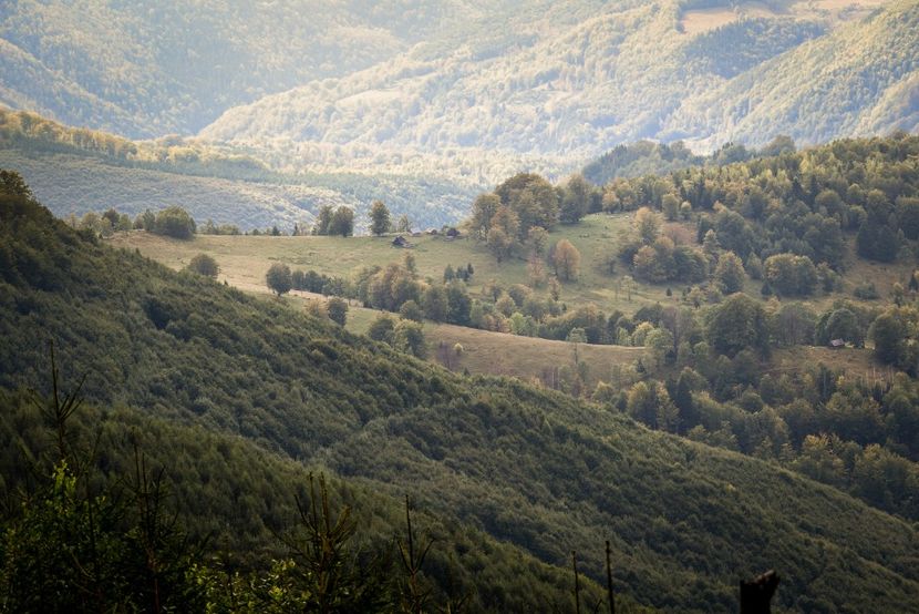  - Photo 17 - Toamna