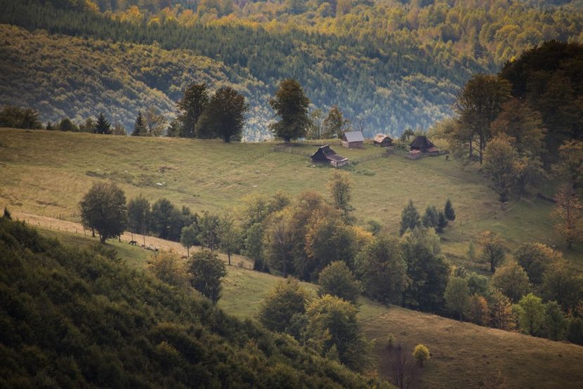  - Photo 17 - Toamna