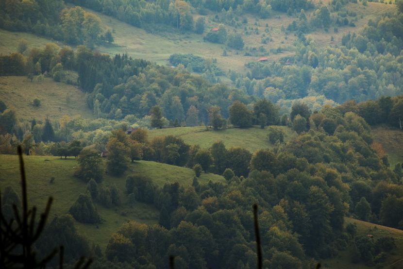  - Photo 17 - Toamna