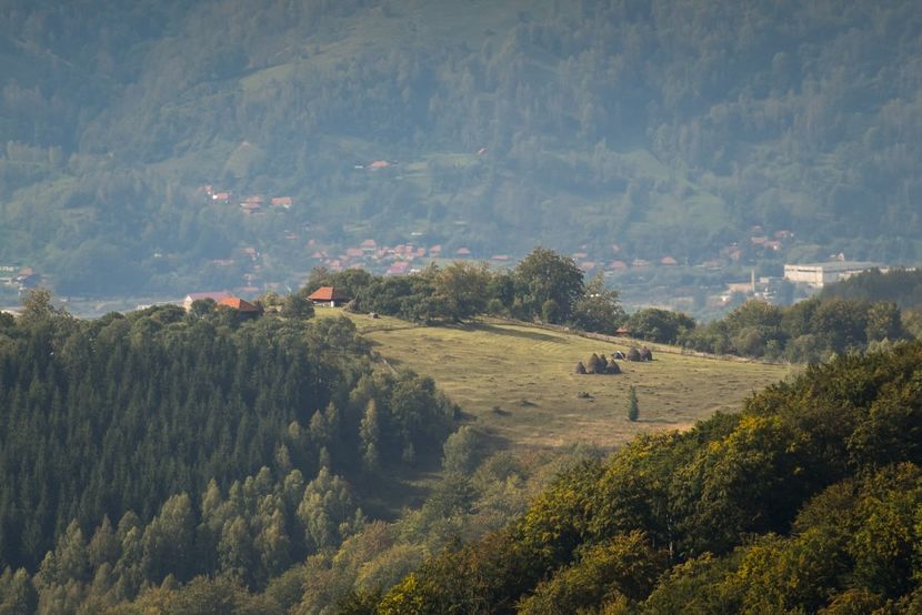  - Photo 17 - Toamna