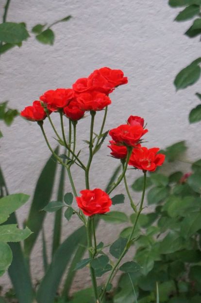  - Little Granada