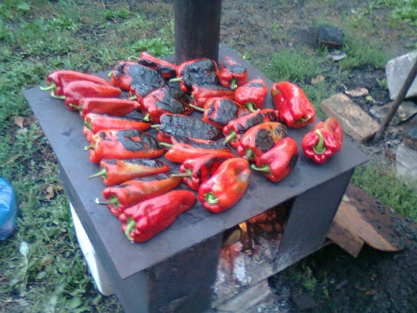 Fotografie7683 - CONTACT TRANSILVANIA