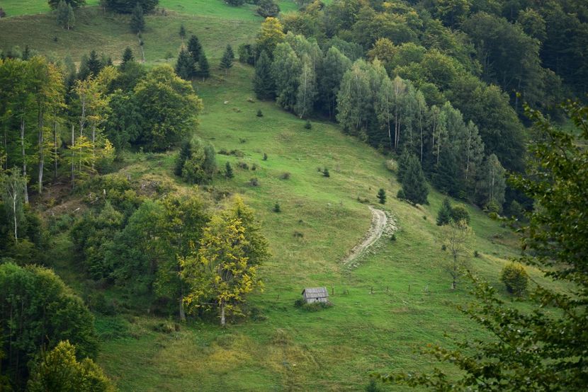  - Photo 17 - Toamna