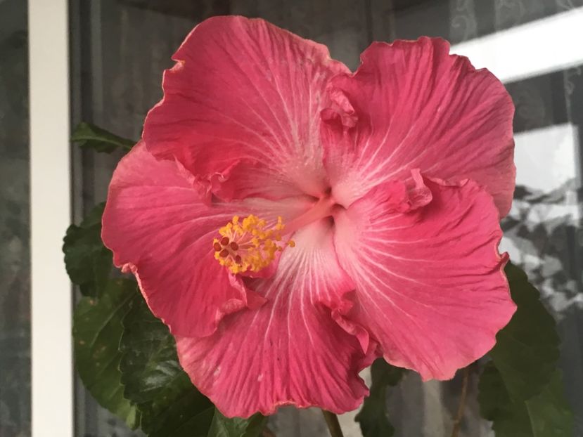 D647B74E-4245-4A6E-BBFF-9599A4EC148B - Water Fuorong