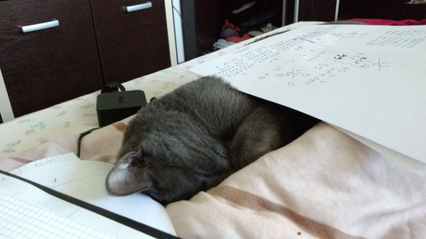  - cat-son