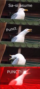  - Sezonul 4 insula iubirii - memes 2