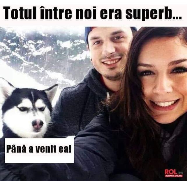  - Sezonul 4 insula iubirii - memes 2