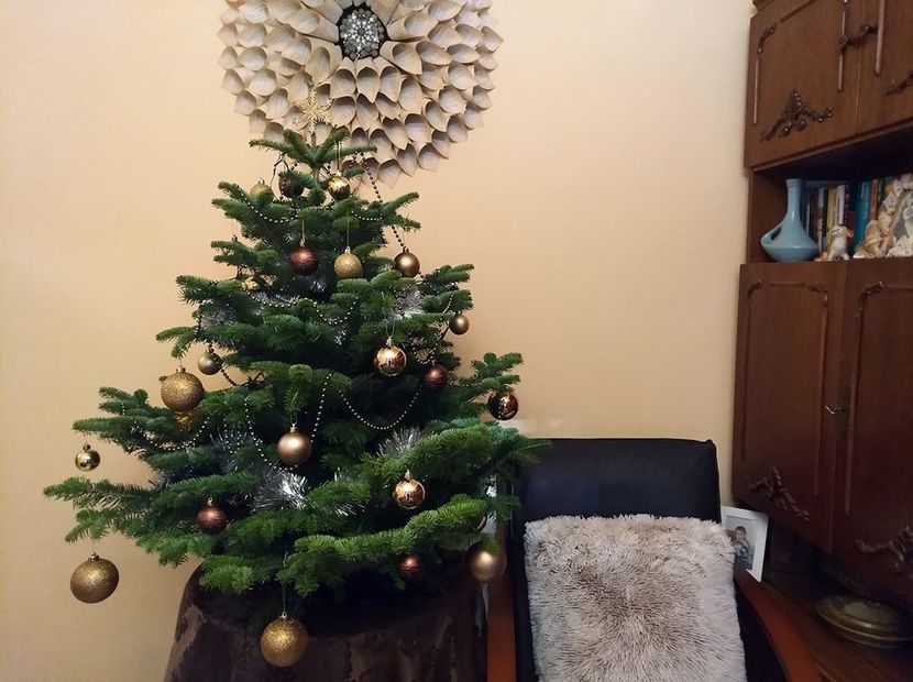 Eurovision 2018 - 2018 Eurovision Song Contest Part 8