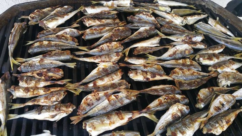 Cronica Carcotasilor - Cronica Carcotasilor Part 2