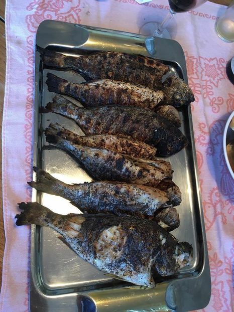 Cronica Carcotasilor - Cronica Carcotasilor Part 2