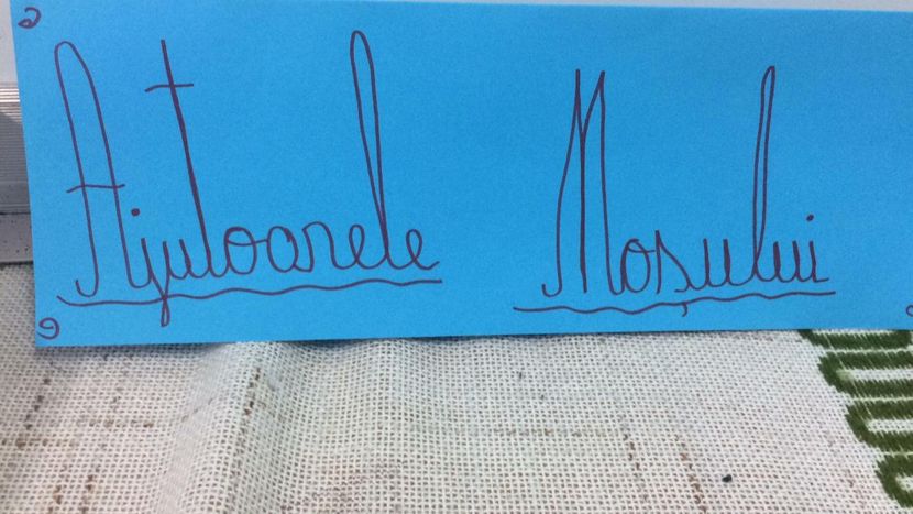 IMG-20181212-WA0005 - TARG DE CRACIUN