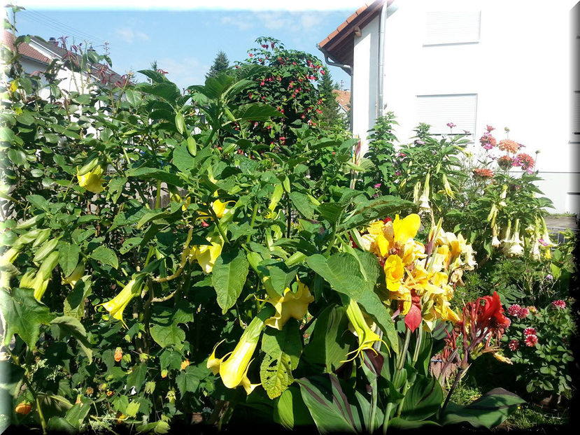 2014-07-24 10.16.33 - 2014