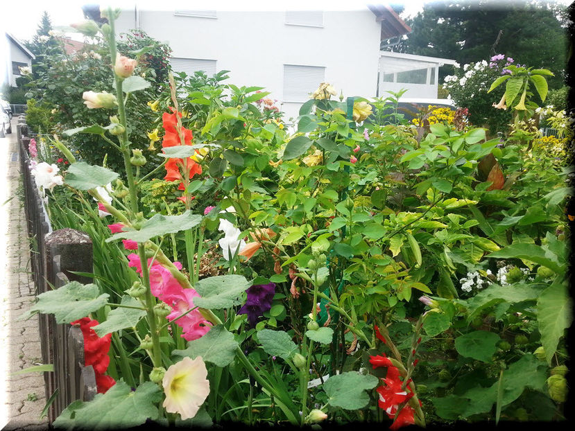 2014-07-26 12.50.08 - 2014