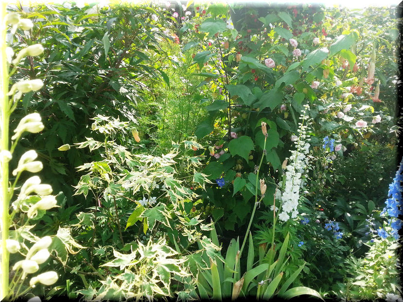 2014-08-06 10.17.46 - 2014