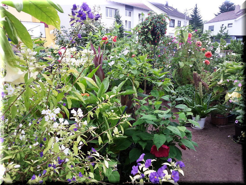 2014-08-06 19.44.58 - 2014