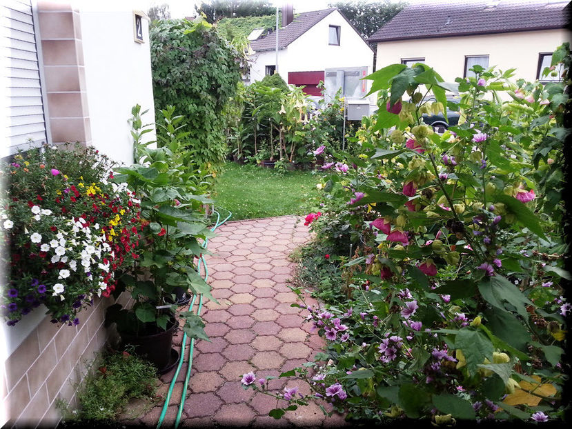 2014-08-06 19.48.38-1 - 2014