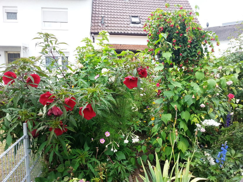 2014-08-15 14.08.24 - 2014