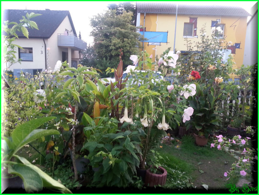 2014-09-09 19.31.29 - 2014