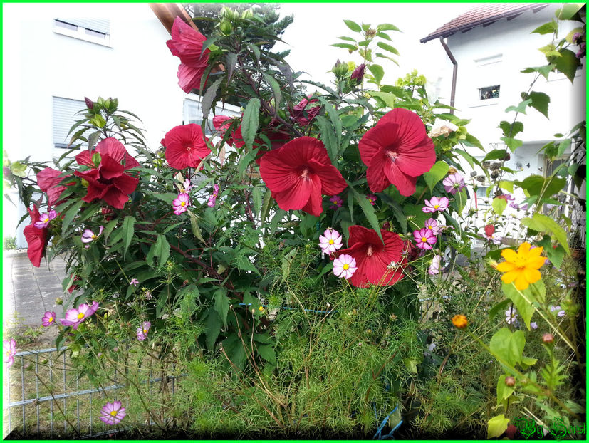 2014-09-10 15.52.35 - 2014