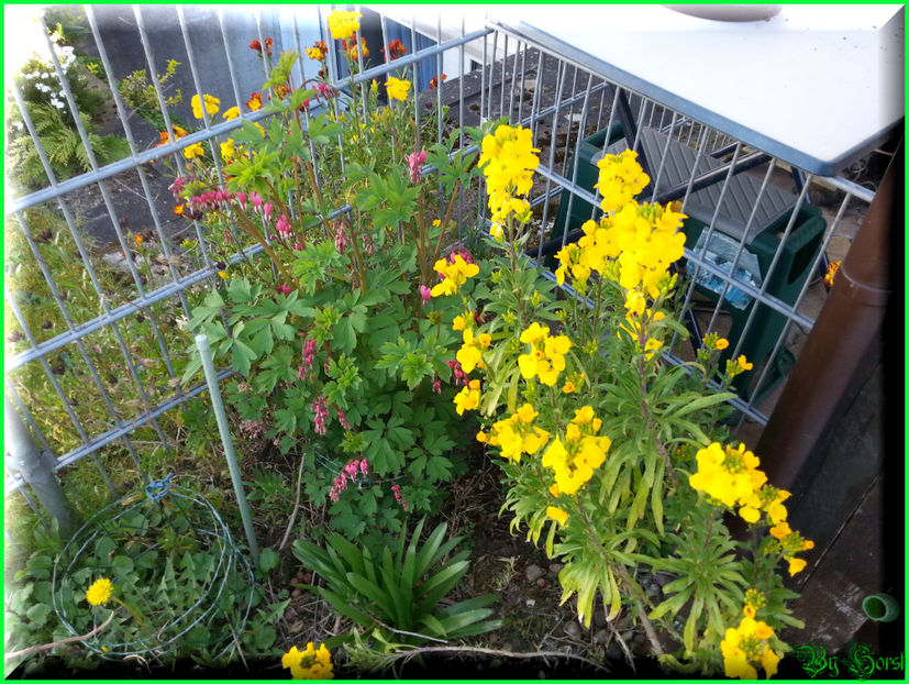 2015-04-15 12.15.13 - 2015