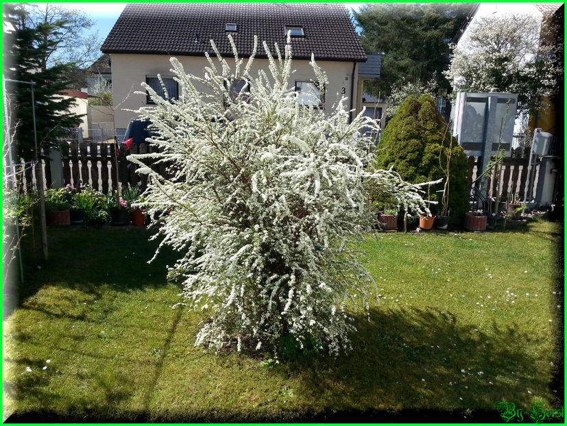 2015-04-15 12.16.26 - 2015