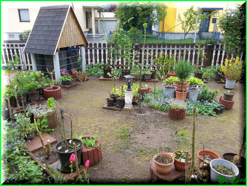 2015-05-01 12.44.13 - 2015