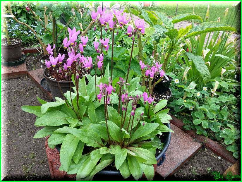 2015-05-01 12.44.58 - 2015