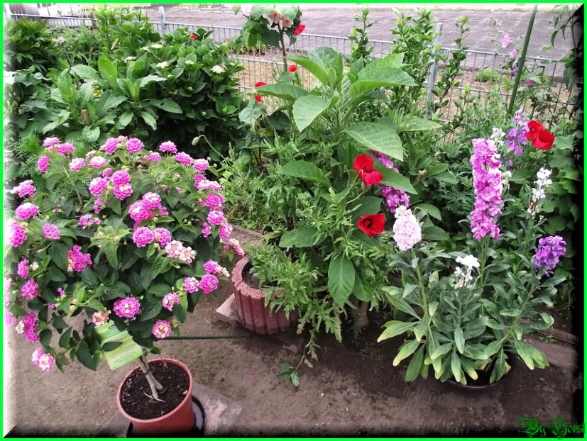 2015-06-09 18.46.39 - 2015