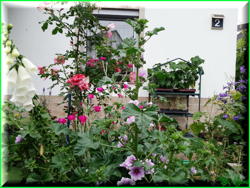 2015-06-09 19.39.33 - 2015