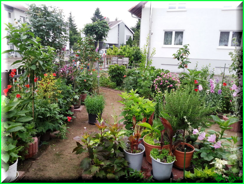 2015-06-09 19.39.59 - 2015