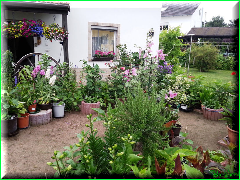 2015-06-09 19.40.23 - 2015