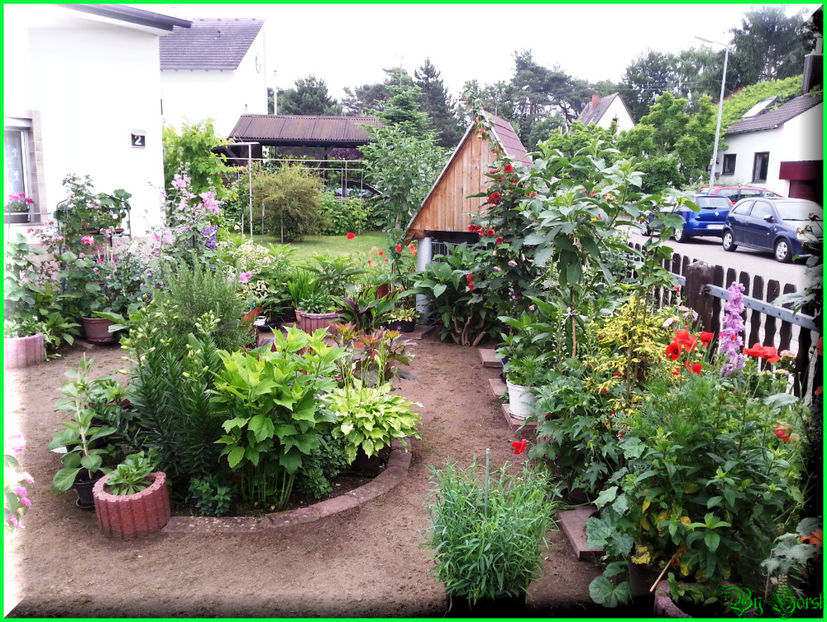 2015-06-09 19.41.06 - 2015