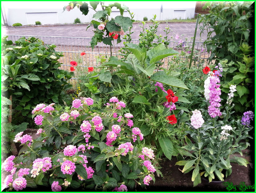 2015-06-09 19.41.39 - 2015