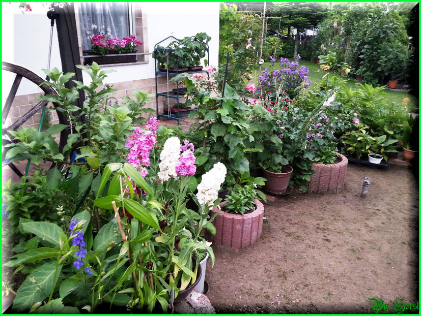 2015-06-09 19.41.51 - 2015