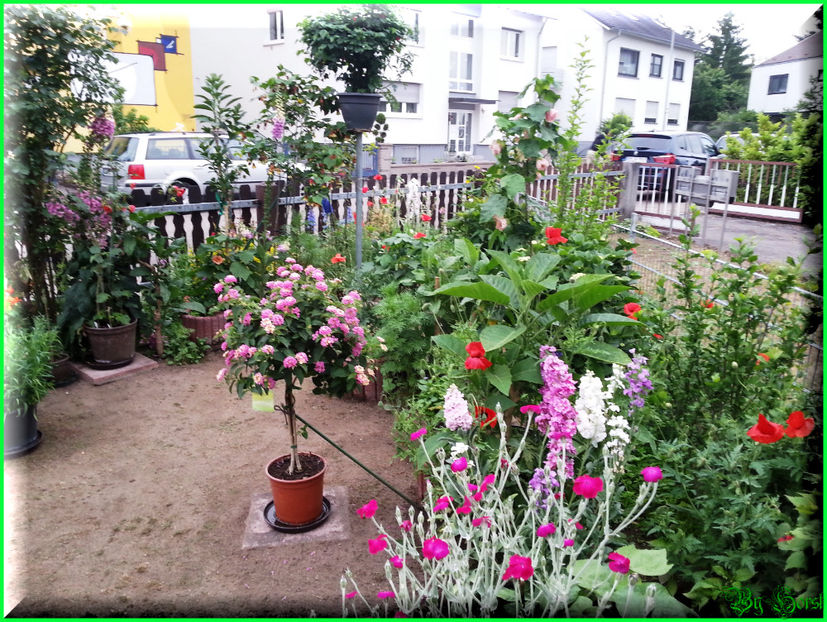 2015-06-09 19.42.00 - 2015