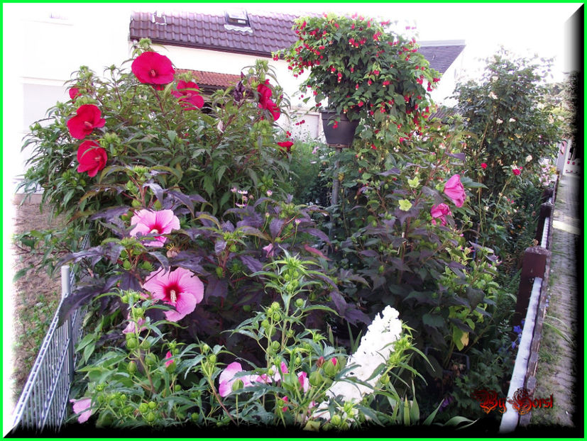 2015-08-08 07.32.36 - 2015