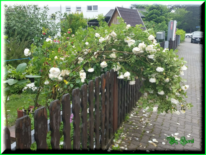 2016-05-30 09.22.50 - 2016