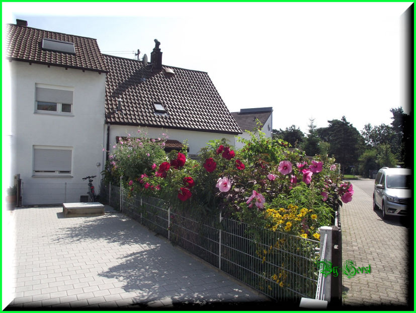 2016-08-16 11.01.27 - 2016