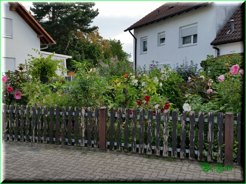 2016-08-17 07.48.31 - 2016