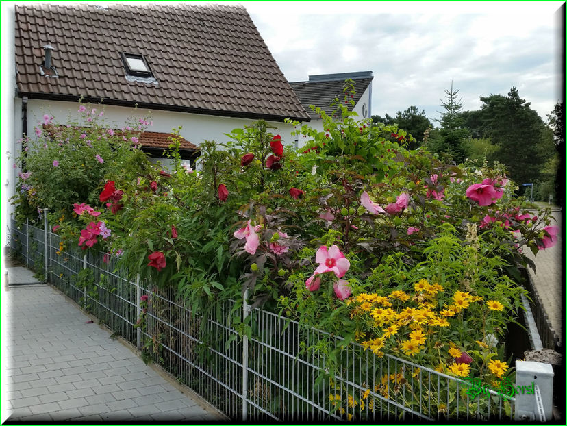 2016-08-17 10.17.11 - 2016