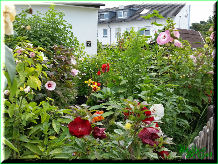 2016-08-17 10.17.26 - 2016