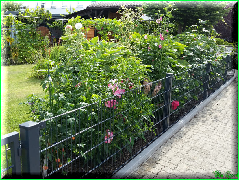 2017-08-09 10.49.48 - 2017