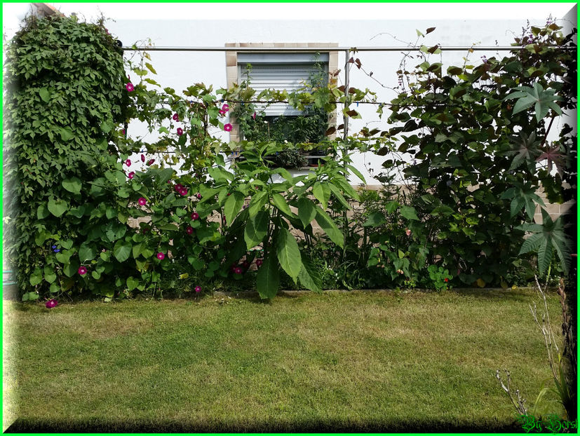 2017-08-09 10.50.41 - 2017