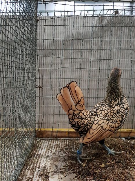 7AF1FCF5-A737-4EDC-9ABE-118879D38F77 - Lipzig2018