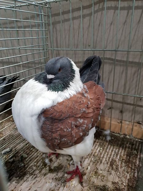 831C5947-560F-4B56-92E0-252B41540126 - Lipzig2018