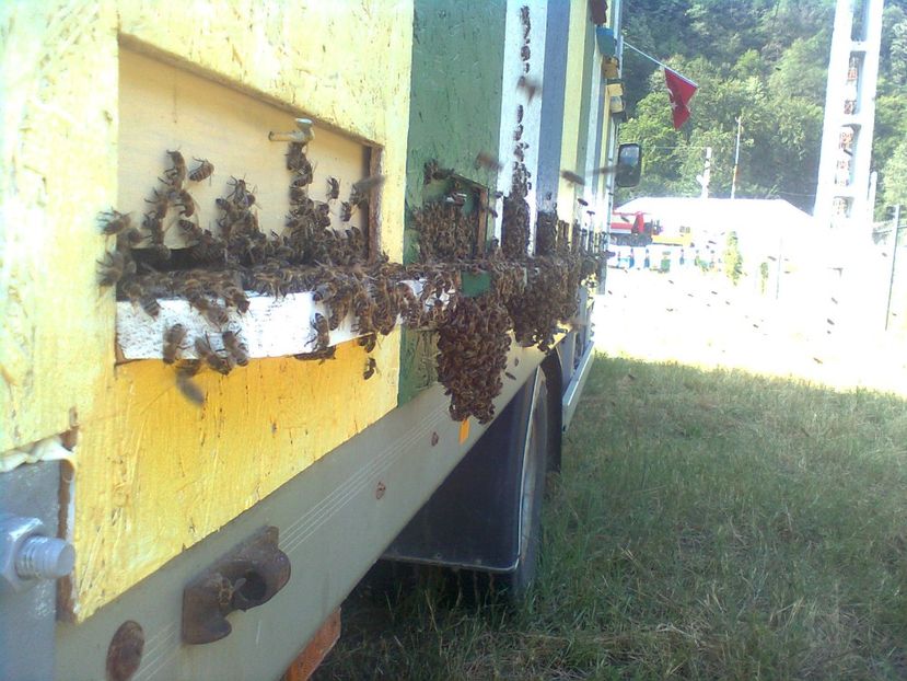 Imagine0220 - Stupi 2012